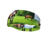 Bandeau de sport polyvalent YYHWHJDE Donkey sur prairie verte - Bandeau extensible et évacuant l'humidité pour yoga, fitness