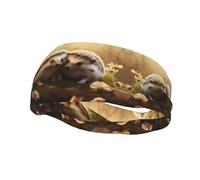 Bandeau de sport tendance décoratif FUUNTL Nature Lovely Hedgehog Lovers Picture Headbands pour homme et femme