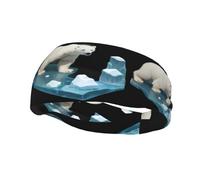 Bandeau de sport tendance décoratif FUUNTL ours polaire sur glace pour homme et femme