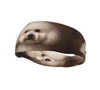 Bandeau de sport tendance décoratif YYHWHJDE bichon frisé pour homme et femme