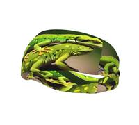 Bandeau de sport tendance décoratif YYHWHJDE Gecko Lézards pour homme et femme