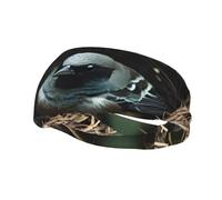 Bandeau de sport tendance décoratif YYHWHJDE Little Bird Nest pour homme et femme