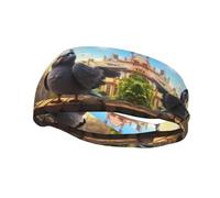 Bandeau de sport tendance décoratif YYHWHJDE motif pigeon pour homme et femme