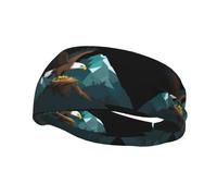 Bandeau de sport tendance décoratif YYHWHJDE Un aigle vole dans son nid de montagne Bandeau pour homme et femme