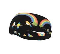 Bandeau de sport tendance et décoratif WHJSSF Birds Under the Rainbow Impression évacuant l'humidité élastique adapté pour le cyclisme, le yoga, la course à pied