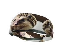 Bandeau de sport tendance WHJSHOP mignon hérisson imprimé bandeaux absorbant la sueur pour homme et femme