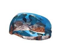 Bandeau de sport tendance YUGTAEE Funny Dolphin Looking at You Picture Bandeaux Absorbe la transpiration pour homme et femme