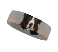 Bandeau d'entraînement Border Collie pour homme et femme - Anti-humidité - Pour tennis, basket-ball, course à pied, gym, sports de plein air