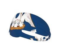 Bandeau d'exercice élastique avec image du drapeau de l'état de Louisiane, bandeau pour hommes et femmes, bandeau pour cheveux pour Yoga et Fitness