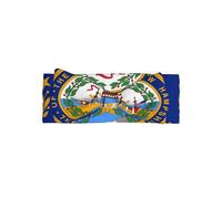 Bandeau doux avec nœud pour bébé fille, joli bandeau imprimé drapeau du New Hampshire pour nouveau-né, nourrisson, tout-petit
