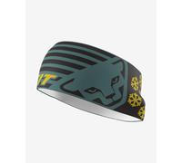 Bandeau Dynafit Graphic Performance bleu vert
