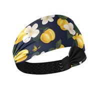 Bandeau élastique antidérapant pour femme Motif fruits de coing pour cyclisme, course à pied, entraînement, basket-ball, chien teckel coloré et étoiles