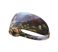 Bandeau élastique de sport Motif YYHWHJDE Grand Canyon Séchage rapide Évacuation de l'humidité