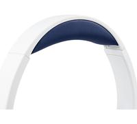 Bandeau Headband de Rechange pour Sony WH-CH510/WHCH510/CH500/MDR-XB250/XB400/XB450/ZX100/ZX110/ZX110ap/ZX110nc/ZX220/ZX300/ZX310ap/ZX330bt (Ne Pas Adapter aux WH-CH520) Casque.[U14]