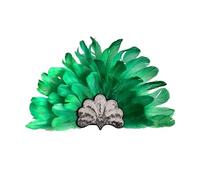 Bandeau indien à plumes avec bande douce, accessoires de costume de festival pour fêtes à thème et photographie artistique, coiffure avec plumes