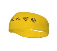 Bandeaux de sport antidérapants et anti-transpiration pour homme et femme, motif drapeau reconstruit de la République de Lanfang, pour gym, basket-ball, yoga