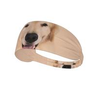 Bandeaux de sport Golden Retriever Aesthetics pour femmes et hommes, élastiques, tendance, antidérapants, pour le yoga, le fitness, la course à pied