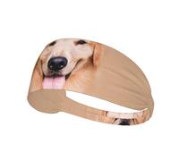 Bandeaux de sport Golden Retriever Aesthetics pour femmes et hommes, élastiques, tendance, antidérapants, pour le yoga, le fitness, la course à pied