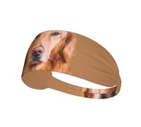 Bandeaux de sport Golden Retriever pour femmes et hommes, élastiques, tendance, antidérapants, pour le yoga, le fitness, la course à pied