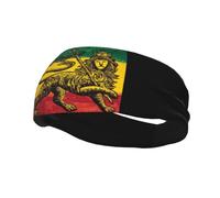 Bandeaux De Sport Rasta Lion De Juda Bandeau Transpiration D'Entraînement Bandana Extensible Antidérapant Homme Headband, pour Course À Pied, Ski, 54-60cm