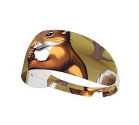 Bandeaux élastiques Amusants avec des écureuils mangeurs de Noix, pour Femmes et Hommes. Idéaux pour la Course à Pied, Le vélo et Le Basketball.