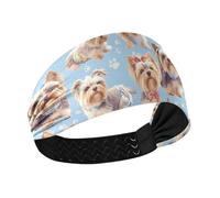 Bandeaux élastiques antidérapants pour chiens Yorkshire Terrier - Bleu chic - Pour se laver le visage - Course à pied, randonnée, course à pied