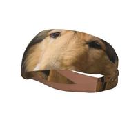 Bandeaux pour cheveux pour hommes et femmes, style Collie à poil long, Lassie, grands chiens à poils longs, bandeaux de course anti-transpiration pour la salle de sport