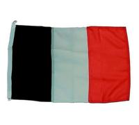 BANDERA IRLANDA 40X60