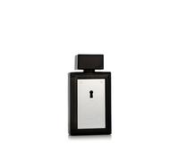 Banderas The Secret Eau de Toilette pour homme 100 ml