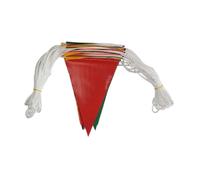 Banderole arc-en-ciel 30 m résistante au soleil - Drapeaux triangulaires pour grandes ouvertures, fêtes, carnaval