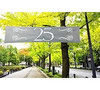 Banderole Argentée 25 ans - 180x40cm