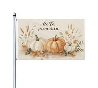 Banderole de vœux avec œillets pour décoration d'intérieur ou d'extérieur Motif citrouilles d'automne 90 x 152 cm