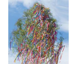 Banderolle de papier crépon, 500 mm x 2,5 m, assorti
