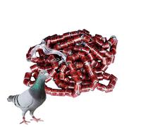 Bandes de pigeon anneaux, accessoires de birgus Pigeon, ensemble d'étiquettes d'identification | 50pcs Bandes sûres avec des couleurs vives pour des anneaux de pied d'oiseau facile à distinguer, des a