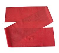 Bandes de résistance Theraband pour Physio Fitness Exercice , Red (Medium)