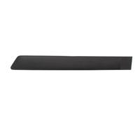 Bandes Décoratives Porte Arrière Gauche Compatible : Ford Fiesta V 03.05-06.08