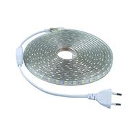 Bandes LED SMD5050 8 mm 220 V mètres IP65 Imperméable avec fiche. 5M Lumière froide