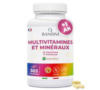 Bandini® Multivitamines et Minéraux 365 Comprimés (1 An) - 24 Nutriments Essentiels dont Vitamines A B C D E K Calcium Magnesium Zinc Fer Iode Acide Folique Biotine - Immunité, Fatigue, Cheveux, Peau