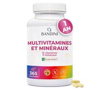 Bandini® Multivitamines & Minéraux 365 Comprimés - 24 Nutriments Essentiels | dont Vitamines A B C D E K Calcium Magnesium Zinc Fer Iode Acide Folique Biotine - Immunité, Fatigue, Cheveux, Peau - 1 An