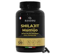 Bandini® Mumijo Shilajit Pur 40.000mg 120 gélules Hautement Dosées, l'original de l'Himalaya, avec 80% d'acide fulvique et de vitamine B6, riche en 85 minéraux et oligo-éléments, vegan, Sans Additifs