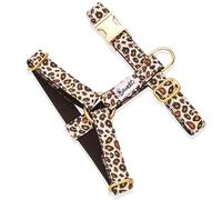 Bandit - Harnais pour Chien - Taille S - Tour de Cou 30-45cm - Tour de poitrail 35-50cm - Design Léopard Élégant - Boucles en Laiton - Nylon - Ajustable, Durable et Lavable en Machine