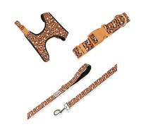 Bandit Jungle Chic Dog Walking Set - Leash, Harness & Collar (Size S) Pink Zebra Lead & Leopard Harness and Collar - Stylish, Durable & Comfortable for Daily Walks