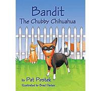 Bandit, The Chubby Chihuahua