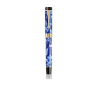 BANDKIT Lot de 14 stylos plume en résine iridum EF/F/M/pointe courbée avec convertisseur à clip doré/argenté