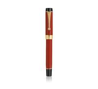 BANDKIT Lot de 16 stylos plume en résine iridum EF/F/M/pointe courbée avec convertisseur à clip doré/argenté