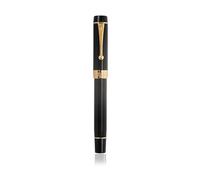 BANDKIT Lot de 21 stylos plume en résine iridum EF/F/M/pointe courbée avec convertisseur à clip doré/argenté