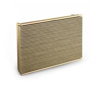 Bang & Olufsen Beosound Level - Enceinte sans Fil Portable WiFi et Bluetooth, résistante à la poussière, Enceinte pour Maison et extérieur avec Jusqu’à 16h de Batterie, eco-Responsable-Gold Tone/Wood