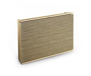 Bang & Olufsen Beosound Level - Enceinte sans Fil Portable WiFi et Bluetooth, résistante à la poussière, Enceinte pour Maison et extérieur avec Jusqu’à 16h de Batterie, eco-Responsable-Gold Tone/Wood