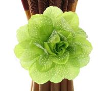 BANGHA Embrasse pour Rideaux,Embrasse Rideau Lot de 2 Sangles Rideau fenêtre, Clips, Supports, Boucles d'attache, Suspension, décoration la Maison(Green 13x50cm)