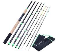 BANGHA Fishing Rod,Fishing Pole Canne à pêche rallongés poignée 6 Sections Canne à pêche L M H Puissance en Fibre de Carbone Voyage Canne à pêche Tackle(Light Grey)